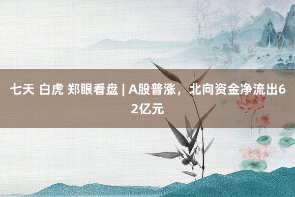 七天 白虎 郑眼看盘 | A股普涨，北向资金净流出62亿元