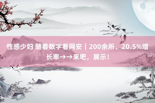 性感少妇 随着数字看网安｜200余所、20.5%增长率→→来吧，展示！