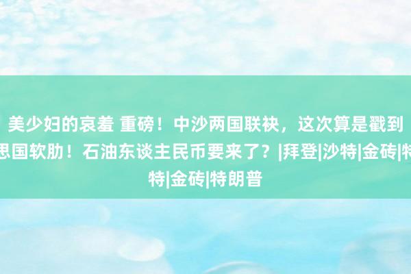 美少妇的哀羞 重磅！中沙两国联袂，这次算是戳到好意思国软肋！石油东谈主民币要来了？|拜登|沙特|金砖|特朗普