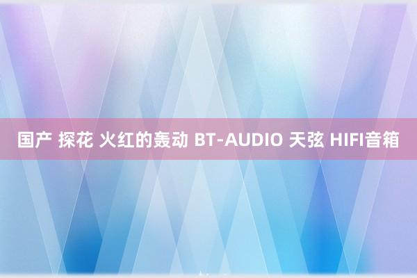 国产 探花 火红的轰动 BT-AUDIO 天弦 HIFI音箱