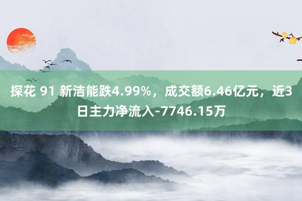 探花 91 新洁能跌4.99%，成交额6.46亿元，近3日主力净流入-7746.15万