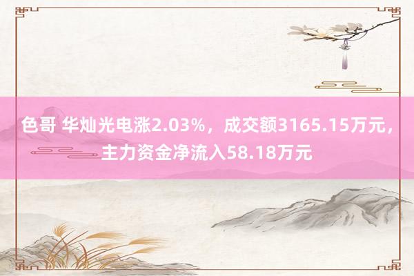 色哥 华灿光电涨2.03%，成交额3165.15万元，主力资金净流入58.18万元